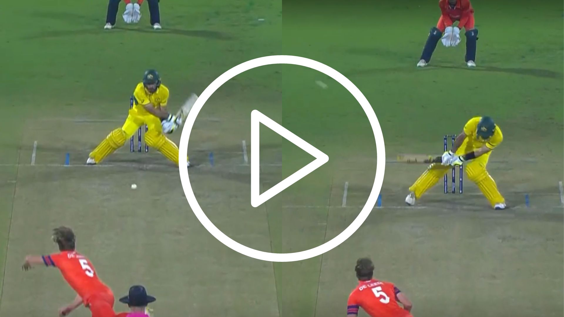 [Watch] Glenn Maxwell Stuns Bas de Leede With A ‘Physics Defying’ Six